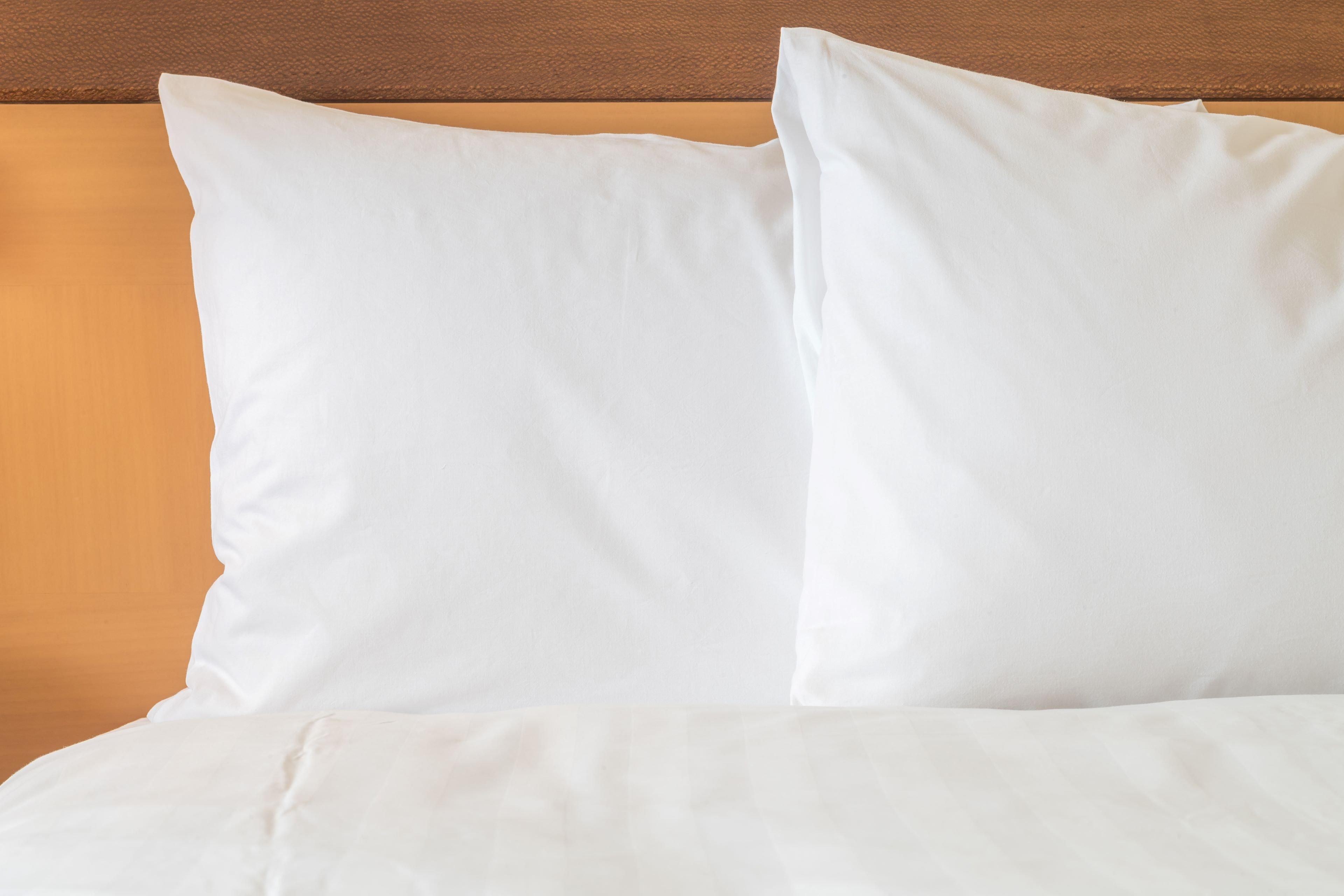 Holiday Inn Express Hotel & Suites Manchester Conference Center By Ihg Eksteriør billede